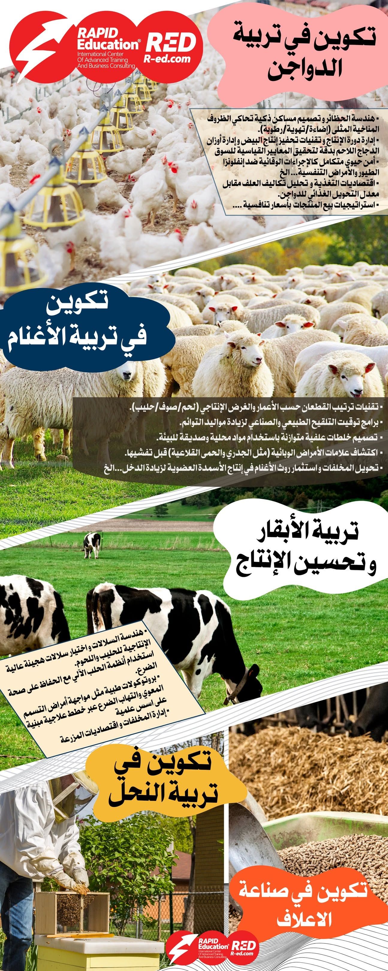 Training Course in Sheep Farming – Improving Production and Care Quality!