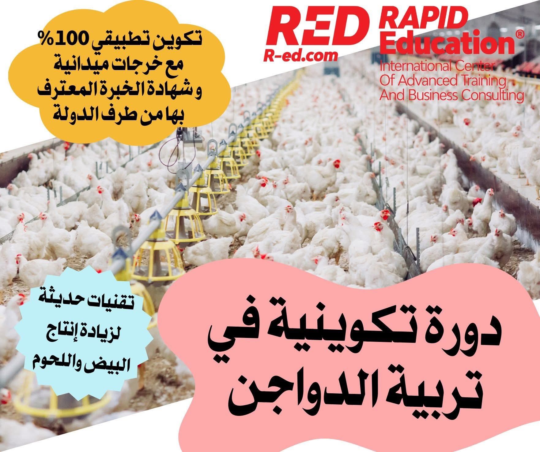 Training Course in Poultry Farming – Increasing Production and Quality!