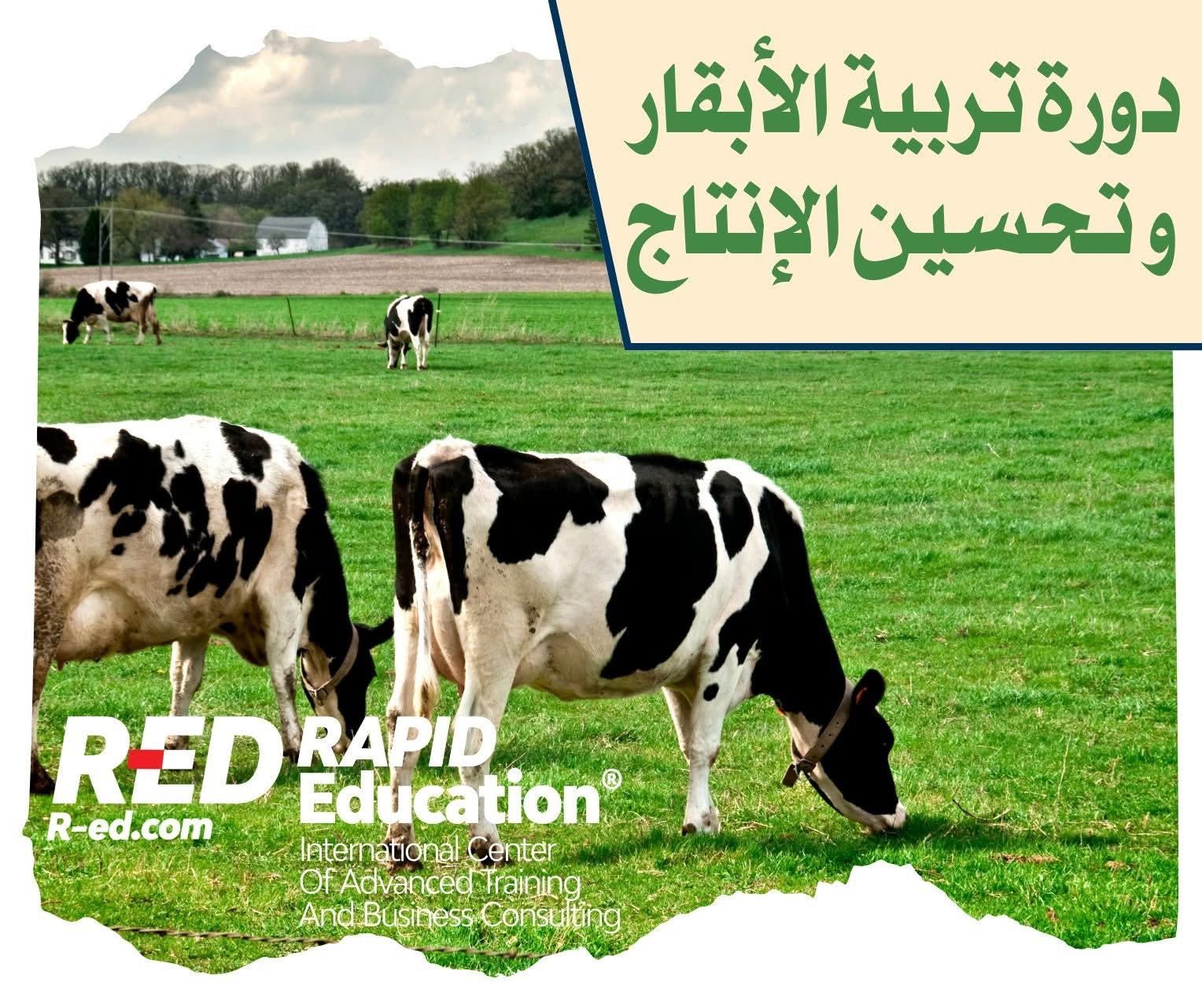 Training course in cattle breeding